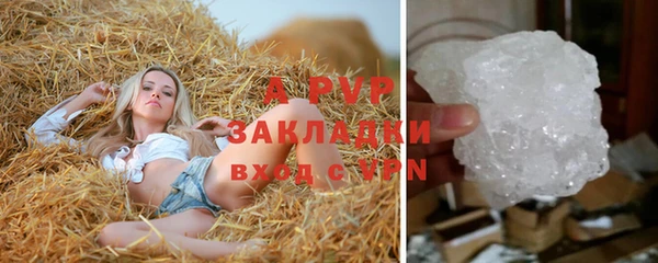 эйфоретик Беломорск